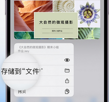 泗县apple维修中心分享iPhone文件应用中存储和找到下载文件