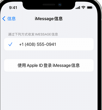 泗县apple维修iPhone上无法正常发送iMessage信息