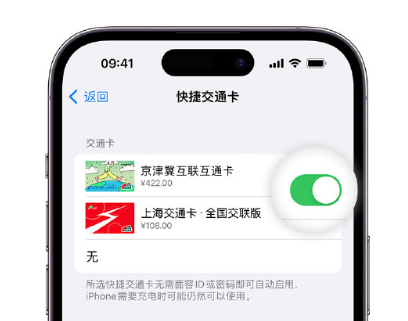 泗县apple维修点分享iPhone上更换Apple Pay快捷交通卡手绘卡面 