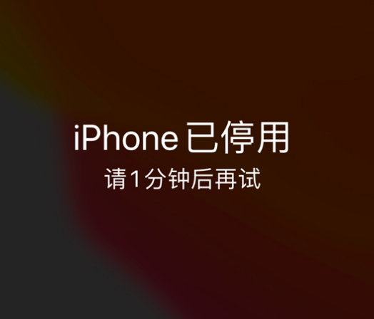 泗县苹果手机维修分享:iPhone 显示“不可用”或“已停用”怎么办？还能保留数据吗？ 