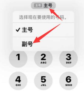 泗县苹果14维修店分享iPhone 14 Pro Max使用副卡打电话的方法 