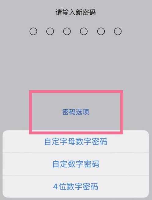 泗县苹果14维修分享iPhone 14plus设置密码的方法 