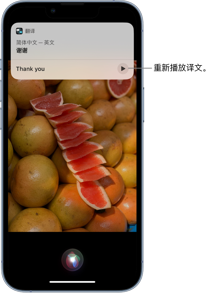 泗县苹果14维修分享 iPhone 14 机型中使用 Siri：了解 Siri 能帮你做什么 