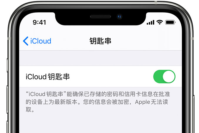 泗县苹果手机维修分享在 iPhone 上开启 iCloud 钥匙串之后会储存哪些信息 