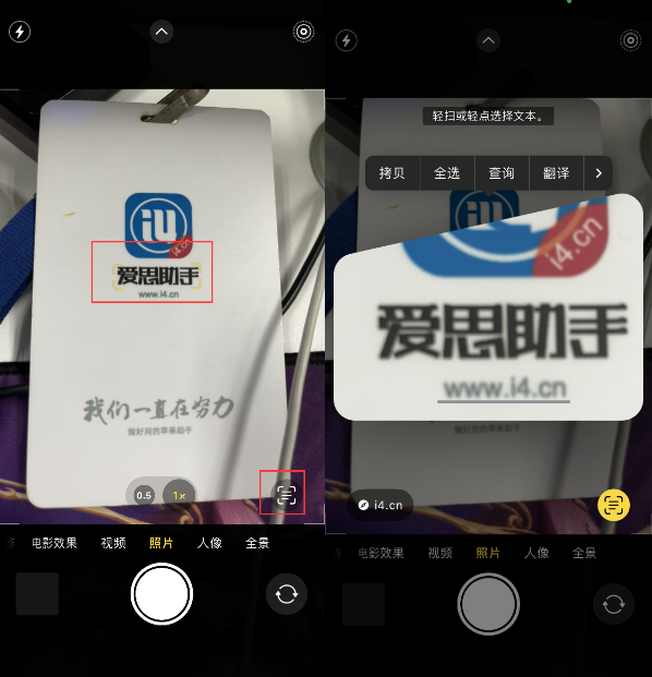 泗县苹果手机维修分享升级iOS 16后如何通过相机翻译文本 