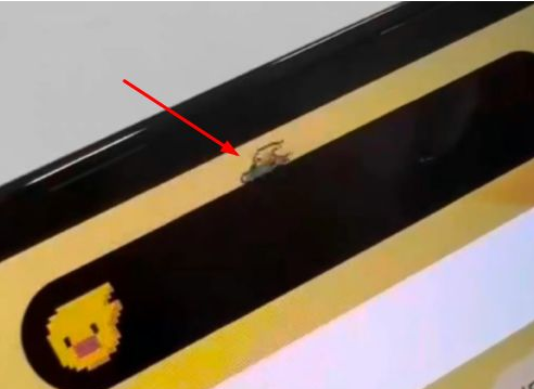 泗县苹果14维修分享iPhone 14 Pro Max灵动岛怎么养宠物 