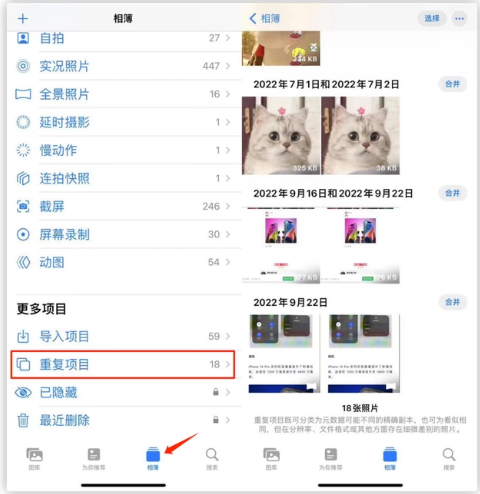 泗县苹果手机维修分享iOS 16 中相册重复项目功能使用方法 
