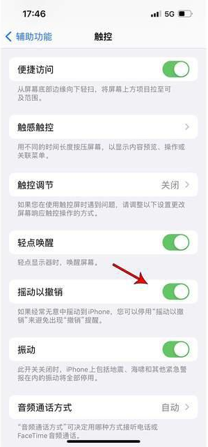 泗县苹果手机维修分享iPhone手机如何设置摇一摇删除文字 