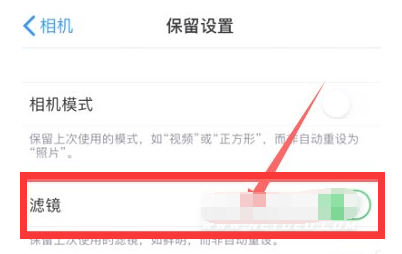 泗县苹果13维修分享iPhone13拍照有绿点是怎么回事 