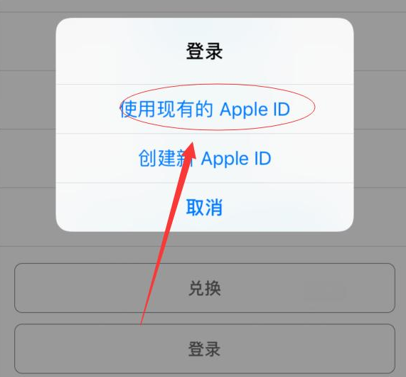 泗县苹果手机维修分享两台iPhone设备可以同时登录一个Apple ID吗 