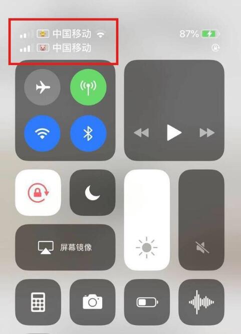 泗县苹果手机维修分享为 iPhone 12 双卡设置标签 