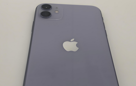 泗县苹果11系统维修分享iPhone11手机系统崩溃无法开机如何解决 